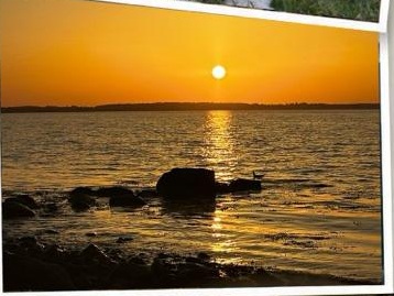 Naturfotografie
